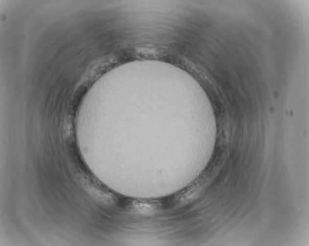 X0000087700706200706011745