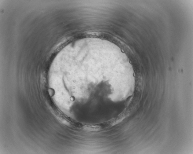 X0000087700707200706011745