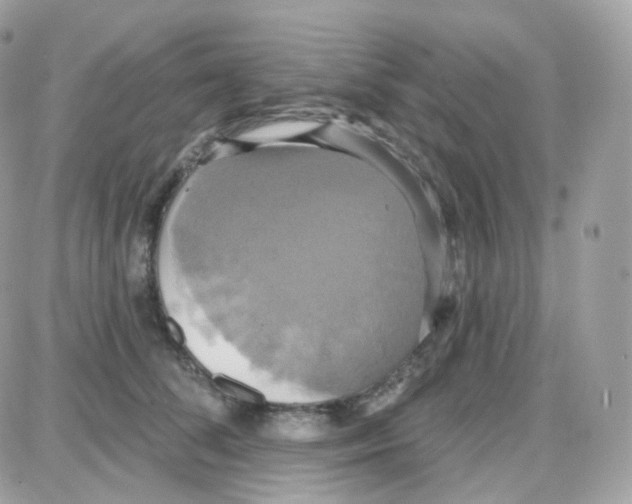 X0000087700708200706011745