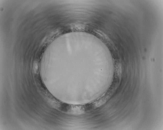 X0000087700709200706011745