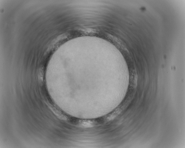 X0000087700710200706011745