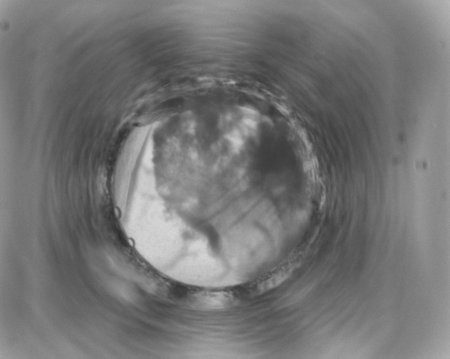 X0000087700711200706011745