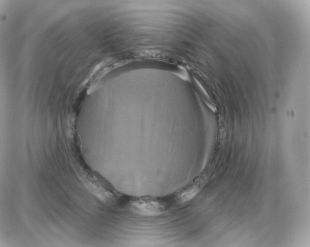 X0000087700712200706011745