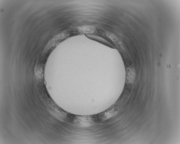 X0000087700713200706011745