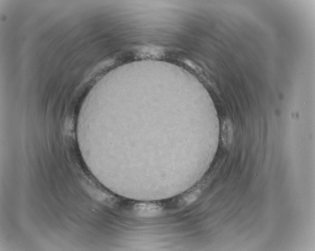 X0000087700714200706011745