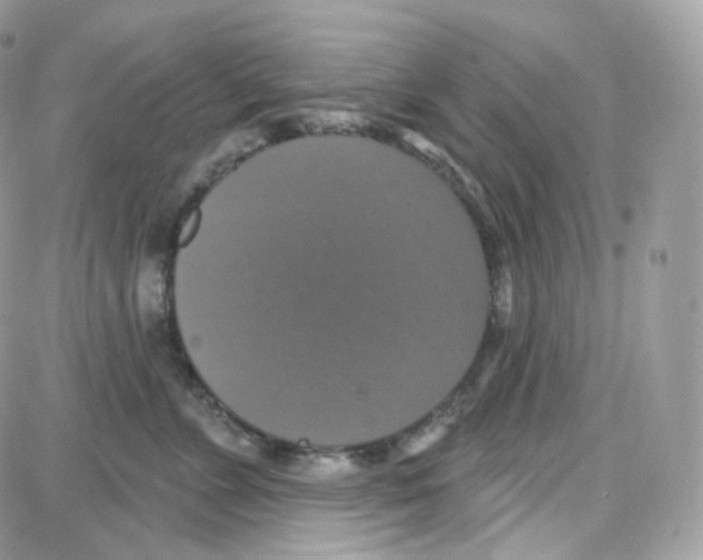 X0000087700715200706011745