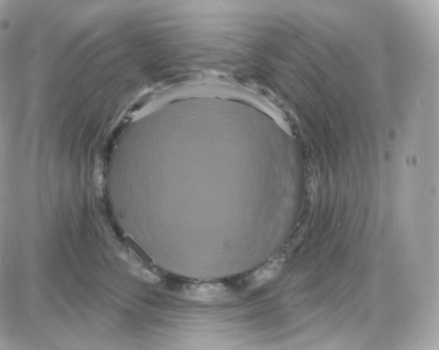 X0000087700716200706011745