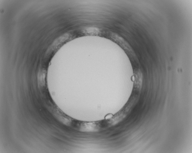 X0000087700717200706011745