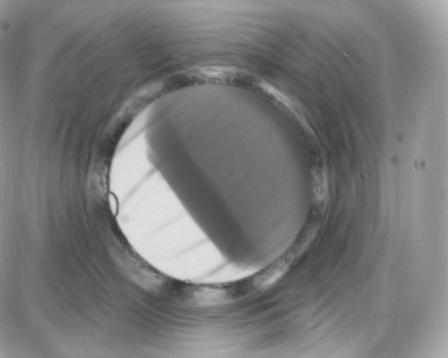 X0000087700718200706011745