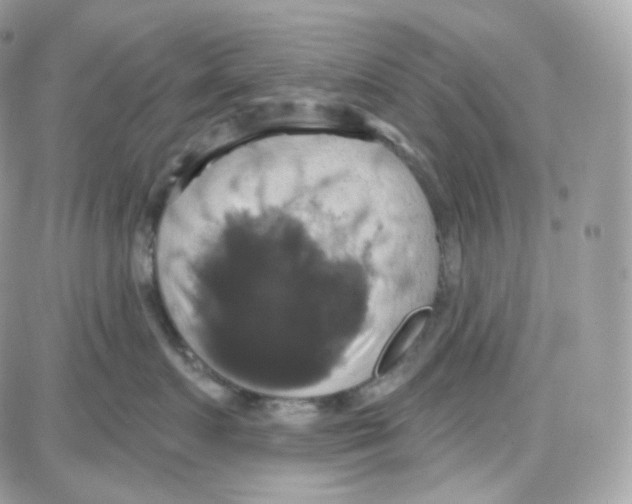 X0000087700719200706011745