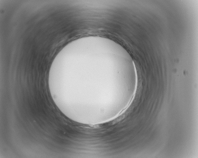 X0000087700720200706011745