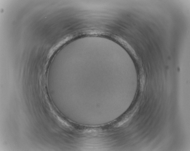 X0000087700721200706011744