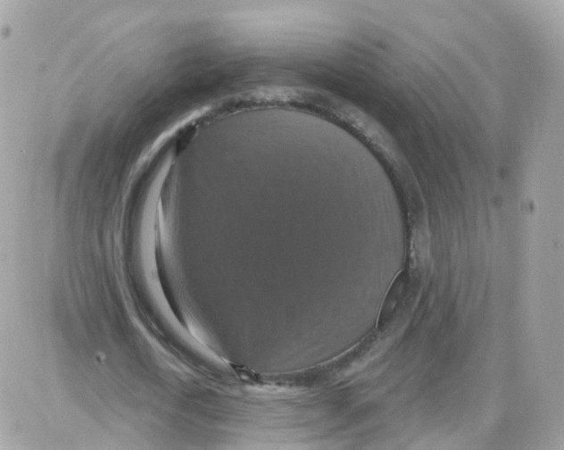 X0000087700722200706011744