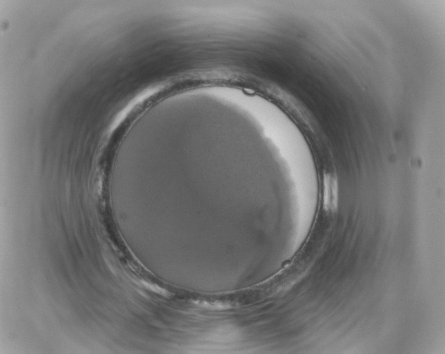 X0000087700723200706011744