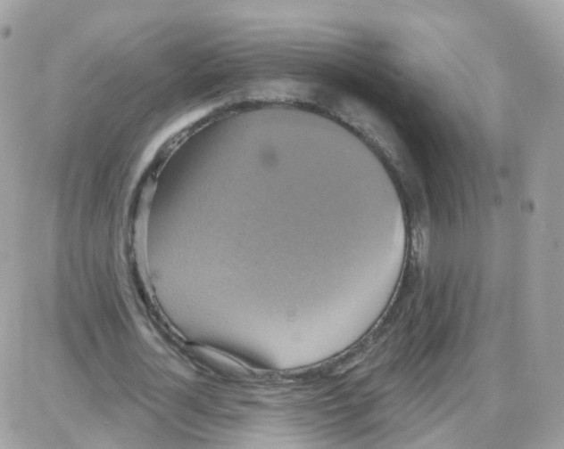 X0000087700724200706011744