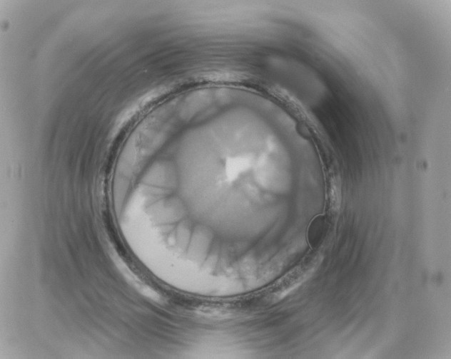 X0000087700725200706011744