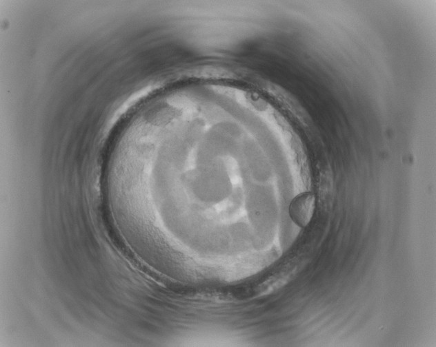 X0000087700727200706011744