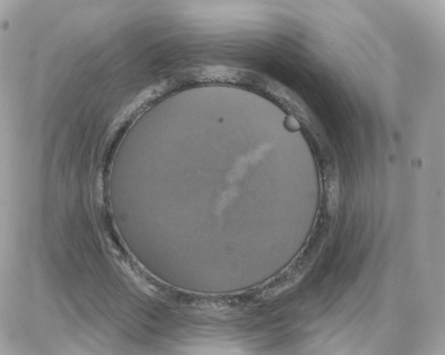 X0000087700729200706011744