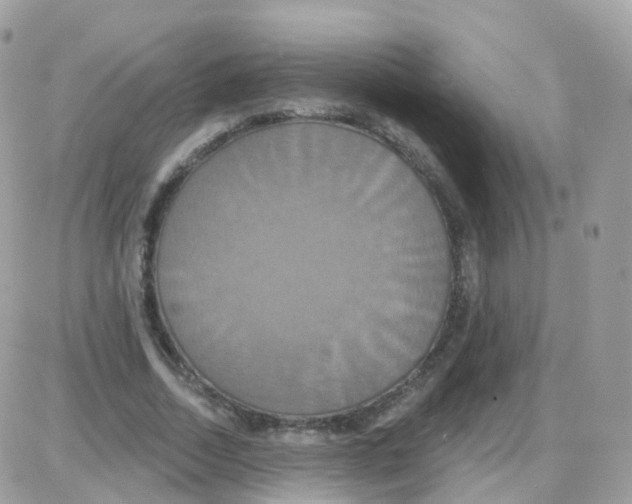 X0000087700730200706011744