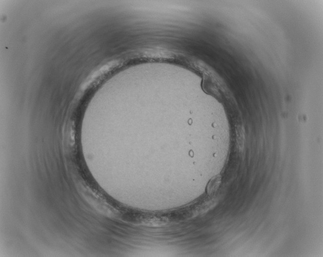 X0000087700731200706011744