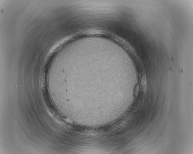 X0000087700732200706011744