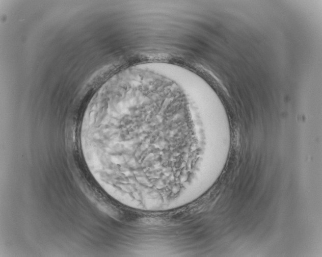 X0000087700733200706011744