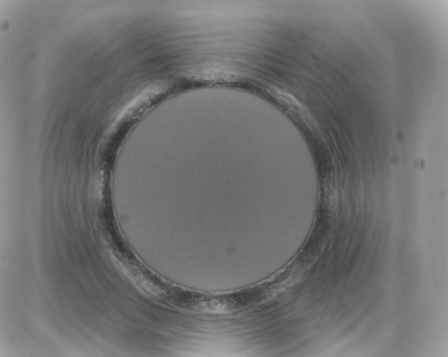 X0000087700735200706011744