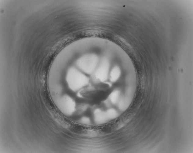 X0000087700737200706011744