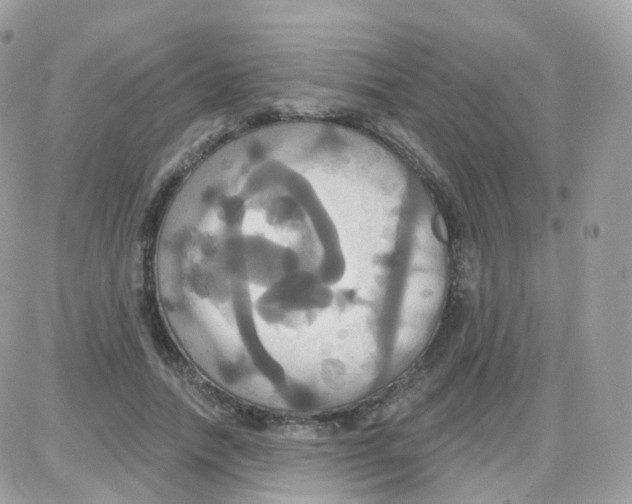 X0000087700738200706011744