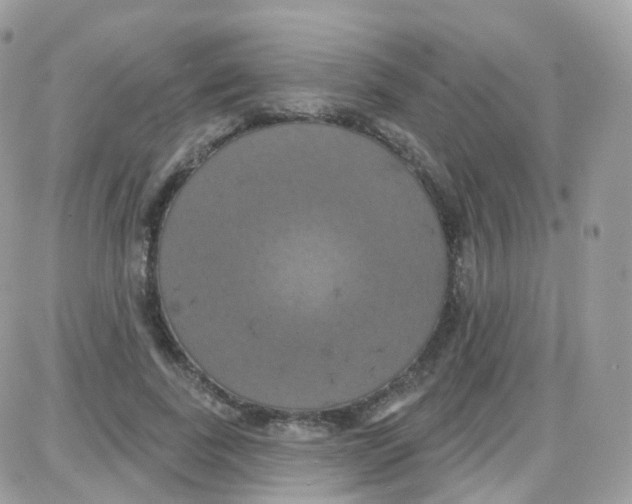 X0000087700739200706011744