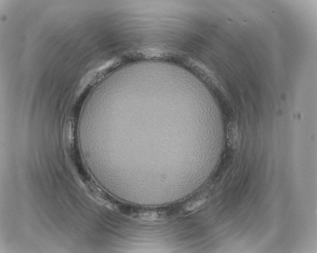 X0000087700740200706011744