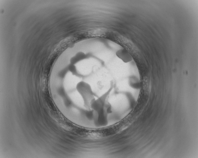 X0000087700741200706011744