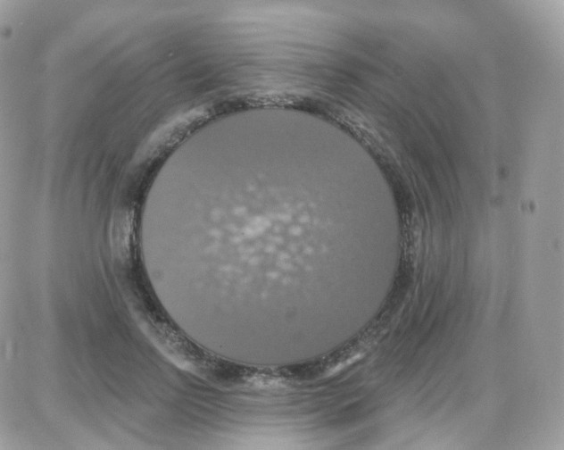 X0000087700742200706011744