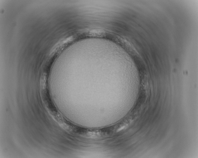 X0000087700744200706011744