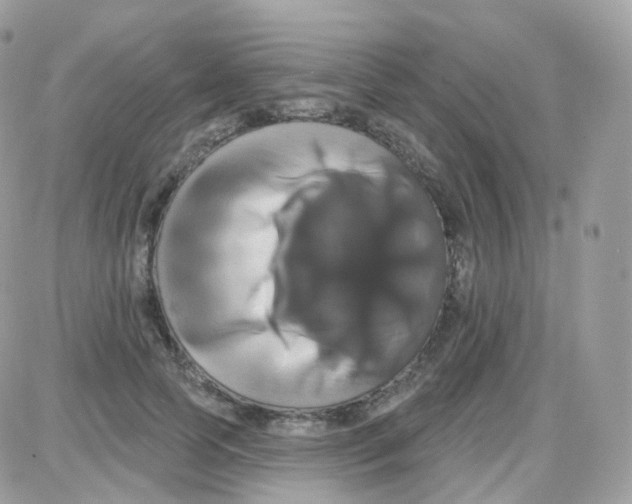 X0000087700745200706011744