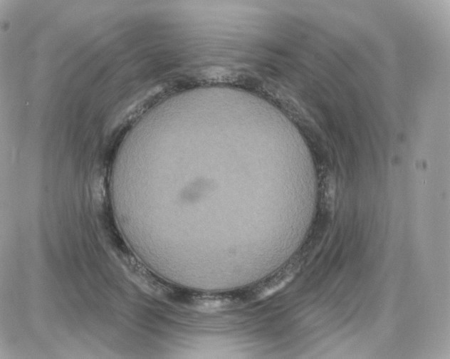 X0000087700746200706011744