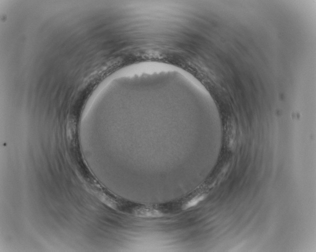 X0000087700747200706011744