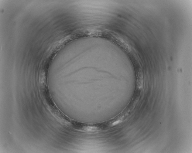 X0000087700748200706011744