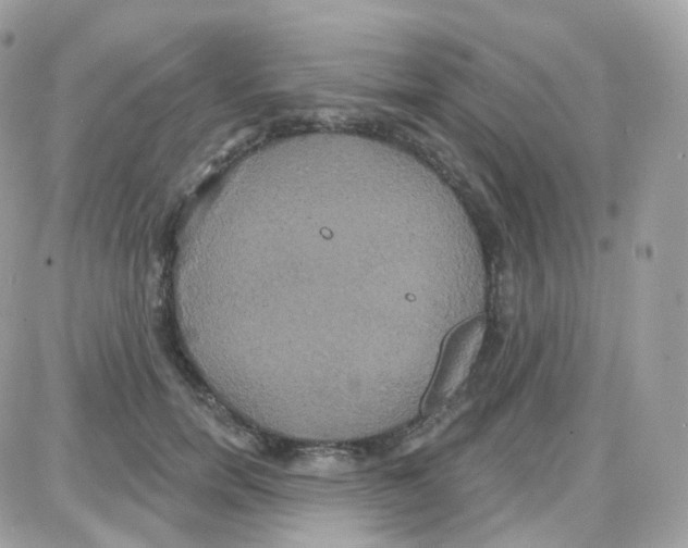 X0000087700750200706011744