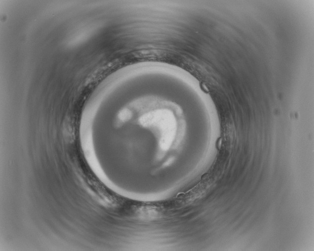 X0000087700751200706011744