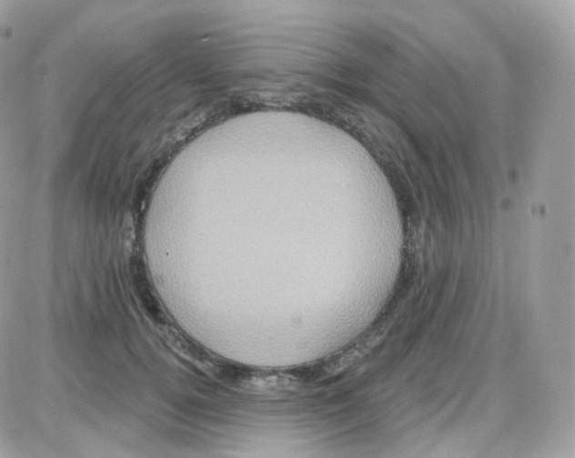 X0000087700752200706011744