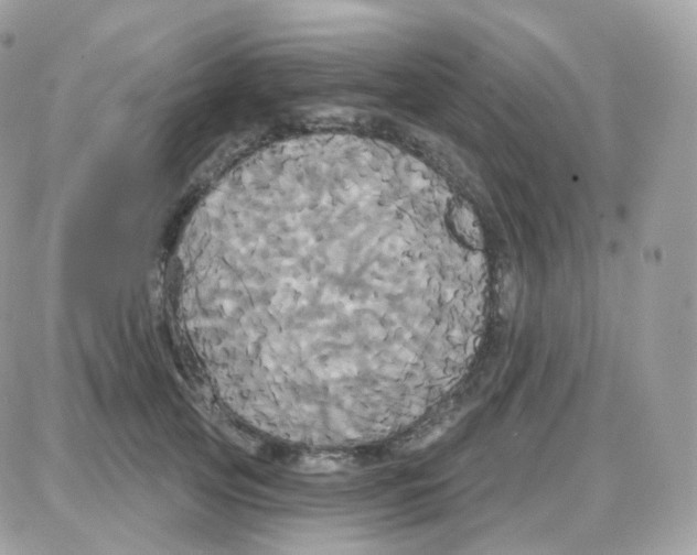 X0000087700753200706011744