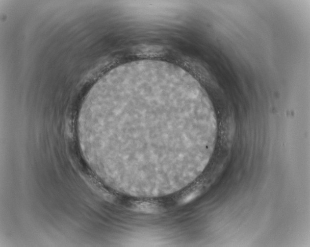 X0000087700755200706011744