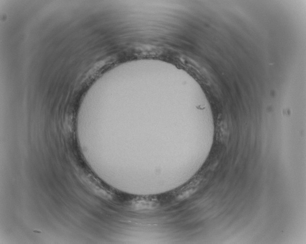 X0000087700756200706011744