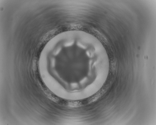 X0000087700757200706011744