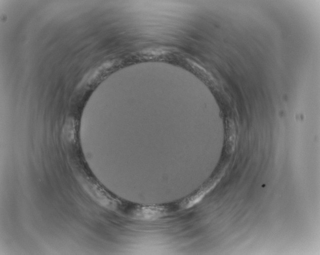 X0000087700758200706011744