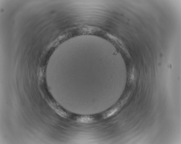 X0000087700759200706011744