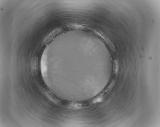 X0000087700760200706011744