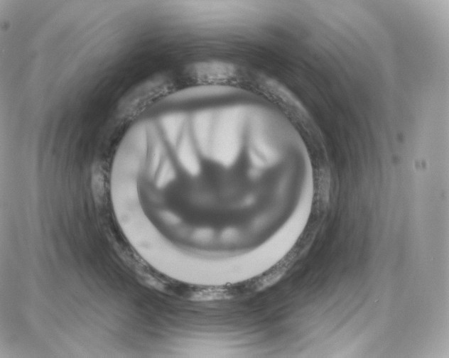 X0000087700761200706011744