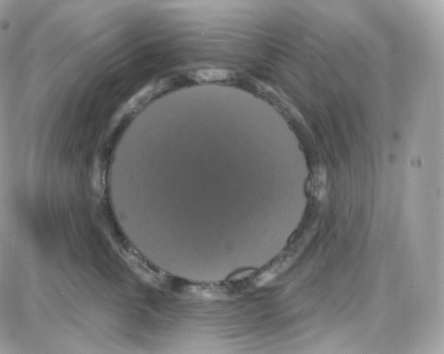 X0000087700763200706011744